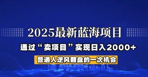 2025年蓝海项目，如何通过“网创项目”日入2000+-秋鱼网创