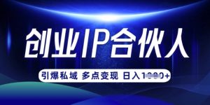 云帆·创业ip合伙人打造3.0，从0到1教你做网创，实现月入过W-秋鱼网创
