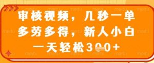 审核视频，几秒一单，多劳多得，新人小白一天轻松3张【揭秘】-秋鱼网创