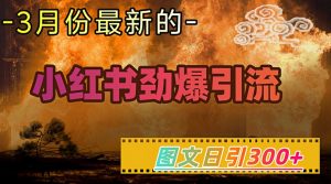 小红书超劲爆引流手段，图文日引300+轻松变现1W-秋鱼网创