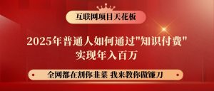 网创项目终点站-镰刀训练营超级IP合伙人，25年普通人如何通过“知识付费”年入百万-秋鱼网创