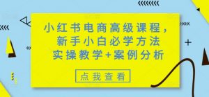 小红书电商高级课程，新手小白必学方法，实操教学+案例分析-秋鱼网创