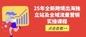 25年全新跨境出海独立站及全域流量营销实操课程，跨境电商独立站TIKTOK全域营销普货特货玩法大全-秋鱼网创