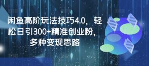 闲鱼高阶玩法技巧4.0，轻松日引300+精准创业粉，多种变现思路-秋鱼网创
