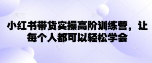小红书带货实操高阶训练营，让每个人都可以轻松学会-秋鱼网创