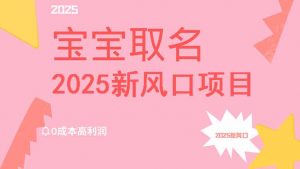 2025新风口项目宝宝取名，0成本高利润，附保姆级教程，月入过万不是梦-秋鱼网创