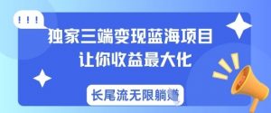 独家三端变现蓝海项目，让你收益最大化，长尾流无限躺挣-秋鱼网创