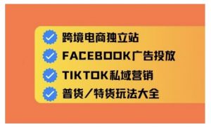 跨境电商独立站及全域流量营销,从0基础快速入门并精通跨境电商运营-秋鱼网创