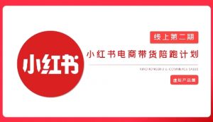 2025小红书虚拟电商实战课，从0到1打造无货源店铺，AI+爆款笔记轻松变现-秋鱼网创