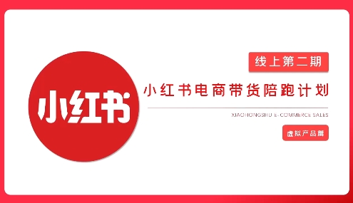 2025小红书虚拟电商实战课,从0到1打造无货源店铺,AI+爆款笔记轻松变现-秋鱼网创