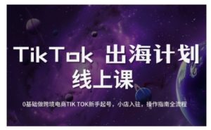 TikTok跨境电商新手起号与运营全攻略，0基础做跨境电商TIKTOK新手起号，小店入驻，操作指南全流程-秋鱼网创
