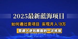 2025蓝海项目，普通人如何通过卖项目，实现月入过W，全过程【揭秘】-秋鱼网创