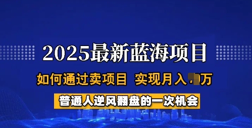 2025蓝海项目,普通人如何通过卖项目,实现月入过W,全过程【揭秘】-秋鱼网创