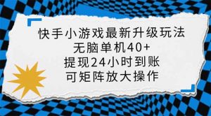 快手小游戏最新版升级玩法，新风口，无脑单机日入40+，可批量放大，小...-秋鱼网创
