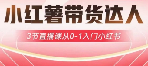 小红薯达人带货启航计划，3节直播课从0-1入门小红书-秋鱼网创