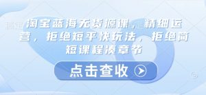 淘宝蓝海无货源课，精细运营，拒绝短平快玩法，拒绝简短课程凑章节-秋鱼网创