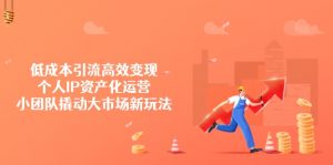 低成本引流高效变现，个人IP资产化运营，小团队撬动大市场新玩法-秋鱼网创