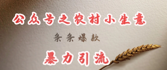 deepseek写农村小项目,条条爆款,暴力引流-秋鱼网创