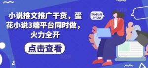 小说推文推广干货，蛋花小说3端平台同时做，火力全开-秋鱼网创
