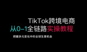 TikTok跨境电商从0-1全链路全方位实操教程，把握多元变化中的全球生意机会-秋鱼网创