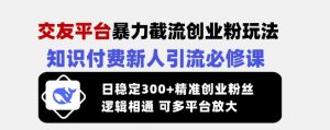交友平台暴力截流创业粉玩法，知识付费新人引流必修课，日稳定300+精准创业粉丝，逻辑相通可多平台放大-秋鱼网创