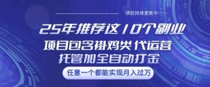 25年推荐这10个副业项目包含褂鸡类、代运营托管类、全自动打金类【揭秘】-秋鱼网创