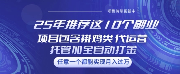 25年推荐这10个副业项目包含褂鸡类、代运营托管类、全自动打金类【揭秘】-秋鱼网创