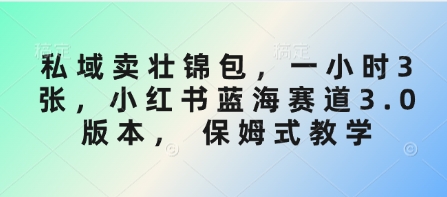 私域卖壮锦包,一小时3张,小红书蓝海赛道3.0版本, 保姆式教学-秋鱼网创