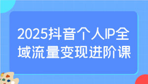 2025抖音个人IP全域流量变现进阶课：选爆品、抖音付费投流、千川投流实操及优化等-秋鱼网创