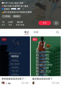 小红书治愈文案图文笔记，零门槛，一分钟制作轻松制作爆款作品月入万元-秋鱼网创