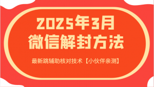 2025年3月微信解封方法 最新跳辅助核对技术【小伙伴亲测】-秋鱼网创