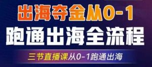 2025出海夺金从0-1跑通出海全流程，三节直播课从0-1跑通出海，教你用AI跑通全流程-秋鱼网创