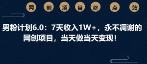 男粉计划6.0：7天收入1W+，永不凋谢的网创项目，当天做当天变现！-秋鱼网创