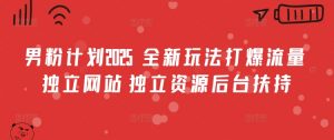 男粉计划2025  全新玩法打爆流量 独立网站 独立资源后台扶持【揭秘】-秋鱼网创