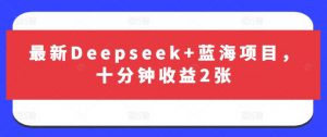 最新Deepseek+蓝海项目，十分钟收益2张-秋鱼网创