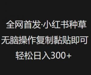 全网首发，小红书种草无脑操作，复制黏贴即可，轻松日入3张-秋鱼网创