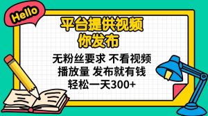 平台提供视频 你发布 无粉丝要求 不看视频播放量 发布就有钱 轻松一天300+-秋鱼网创