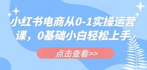 小红书电商从0-1实操运营课，0基础小白轻松上手-秋鱼网创
