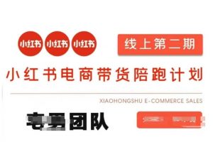 小红书电商带货课2期，月利润20个的小红书电商的有货源，无货源，虚拟产品，付费投流等整套玩法-秋鱼网创