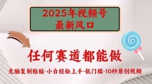 2025年视频号新风口，低门槛只需要无脑执行-秋鱼网创