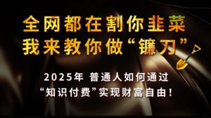 全网都在割你韭菜，我来教你做镰刀,2025普通人如何通过知识付费，实现财F自由【揭秘】-秋鱼网创