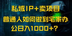 私域IP+卖项目，普通人如何做到宅家办公实现日入1000+-秋鱼网创