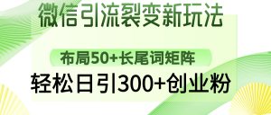 微信引流裂变新玩法：布局50+长尾词矩阵，轻松日引300+创业粉-秋鱼网创