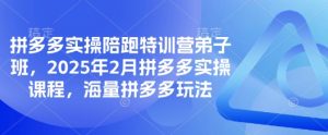 拼多多实操陪跑特训营弟子班，2025年2月拼多多实操课程，海量拼多多玩法-秋鱼网创