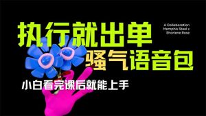 爆火全网的开车导航骚气语音包,只要执行就出单，小白看完课程就能实操...-秋鱼网创