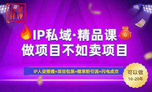 2025年“IP私域·密训精品课”,日赚3000+小白避坑年赚百万,暴力引流...-秋鱼网创