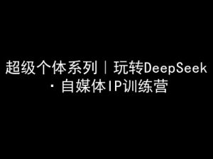 超级个体系列，玩转DeepSeek·自媒体IP训练营，deepseek教程-秋鱼网创