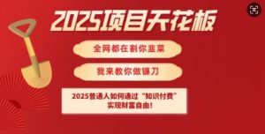2025项目天花板普通人如何通过知识付费，实现财F自由【揭秘】-秋鱼网创
