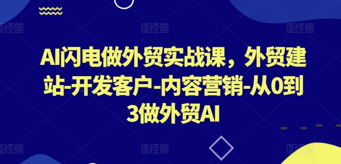 AI闪电做外贸实战课，​外贸建站-开发客户-内容营销-从0到3做外贸AI(更新)-秋鱼网创