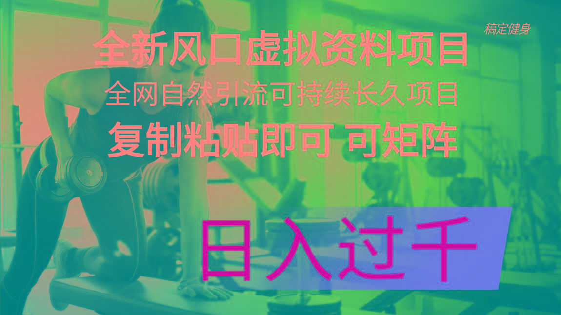 全新风口虚拟资料项目 全网自然引流可持续长久项目 复制粘贴即可可矩阵...-秋鱼网创